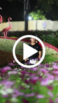 BIB:  <button type="button" onclick="openModal(27589918)" class="btn btn-primary btn-sm float-right" data-toggle="modal" data-target=".modal-high-quality">
                <i class="fa fa-download"></i> Download
                </button>